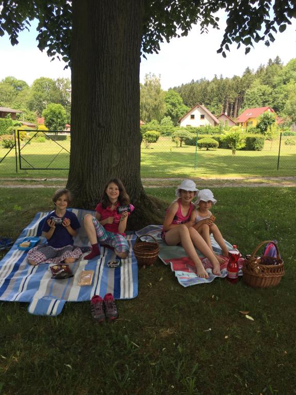 Letní piknik ve ŠD